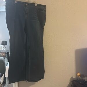 Ashley Stewart Perfect Bootcut Skinny Jean Wide Leg Size 20R